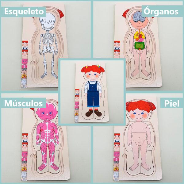 ROMPECABEZAS CUERPO HUMANO