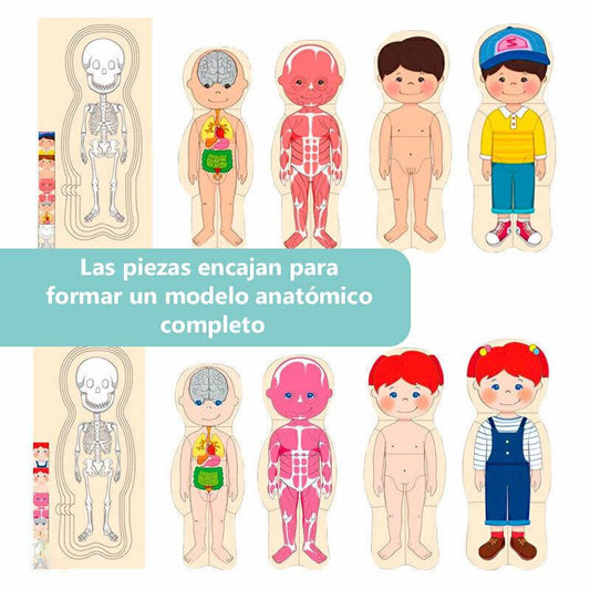 ROMPECABEZAS CUERPO HUMANO