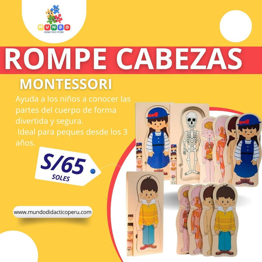 ROMPECABEZAS CUERPO HUMANO
