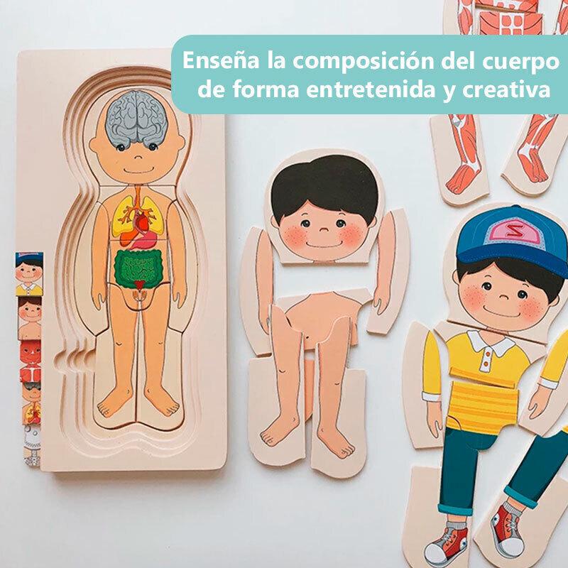 ROMPECABEZAS CUERPO HUMANO
